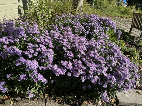 2026-10-tuin-01