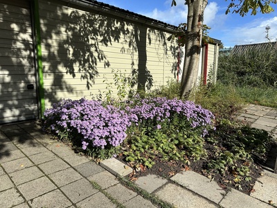 2026-10-tuin-02