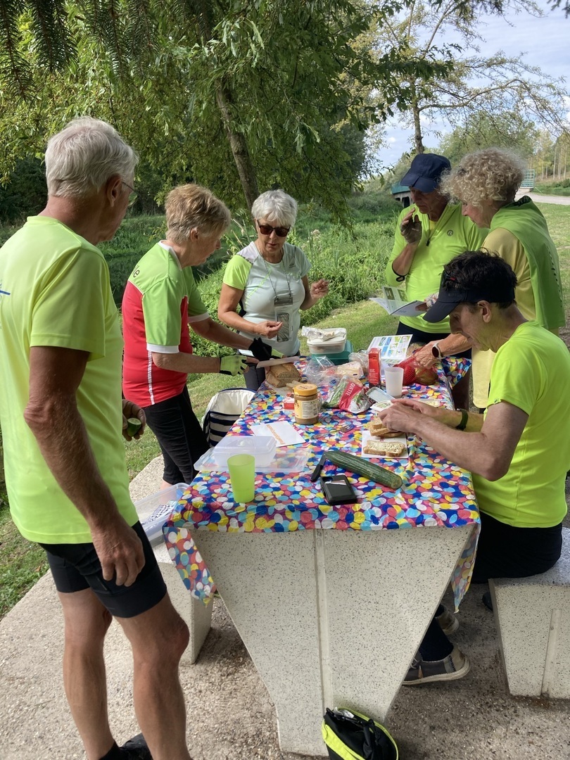 picknick 3 picknick 3